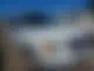 Vehicle Image- 2003 Ford Expedition