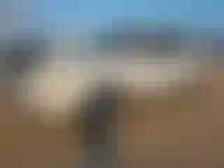 Vehicle Image- 2004 Ford Expedition