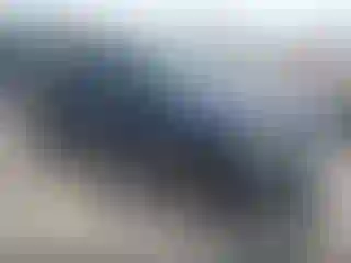 Vehicle Image- 2008 Ford Explorer