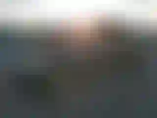 Vehicle Image- 2008 Ford Explorer