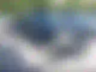 Vehicle Image- 2008 Ford Explorer