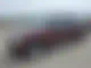 Vehicle Image- 2007 Ford Explorer