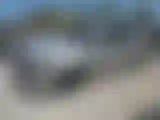 Vehicle Image- 2010 Ford Explorer