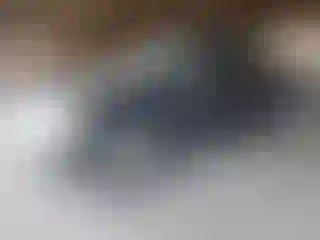 Vehicle Image- 2010 Ford Explorer