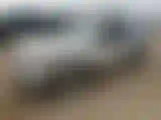 Vehicle Image- 2007 Ford Explorer