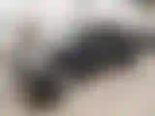 Vehicle Image- 2007 Ford Explorer