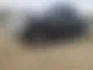 Vehicle Image- 2008 Ford Explorer