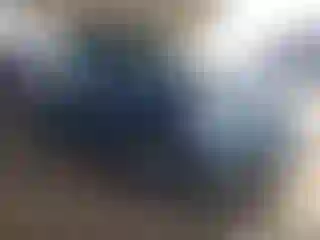 Vehicle Image- 2008 Ford Explorer