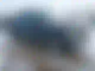 Vehicle Image- 2008 Ford Explorer