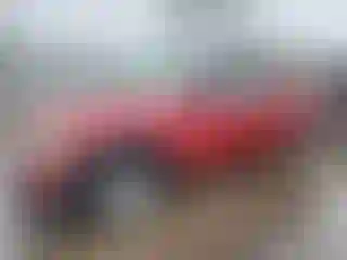 Vehicle Image- 2007 Ford Explorer