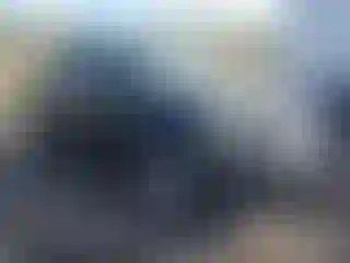 Vehicle Image- 2007 Ford Explorer