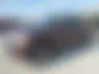 Vehicle Image- 2007 Ford Explorer