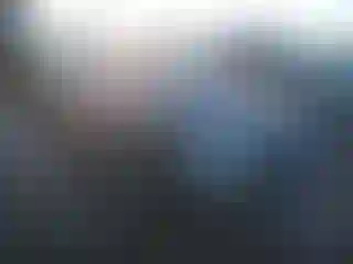 Vehicle Image- 2007 Ford Explorer