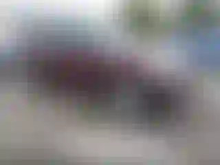 Vehicle Image- 2007 Ford Explorer