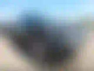 Vehicle Image- 2007 Ford Explorer
