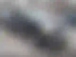 Vehicle Image- 2007 Ford Explorer