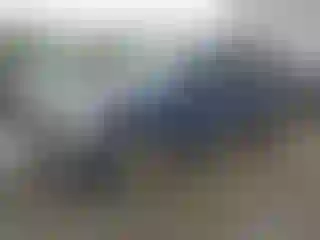 Vehicle Image- 2008 Ford Explorer