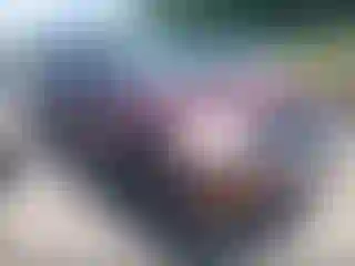 Vehicle Image- 2008 Ford Explorer