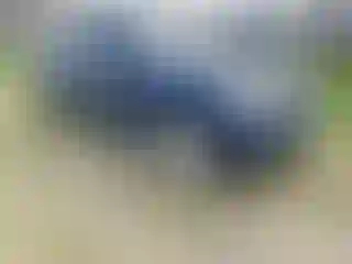 Vehicle Image- 2007 Ford Explorer