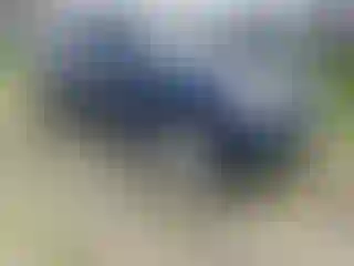 Vehicle Image- 2007 Ford Explorer