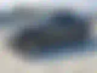 Vehicle Image- 2007 Ford Explorer