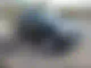 Vehicle Image- 2010 Ford Explorer