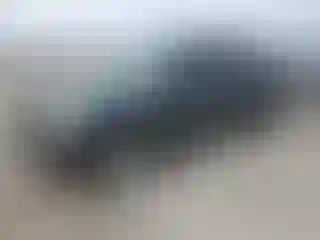 Vehicle Image- 2010 Ford Explorer