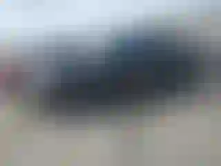 Vehicle Image- 2010 Ford Explorer