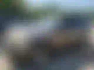 Vehicle Image- 2006 Ford Explorer