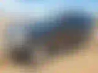 Vehicle Image- 2006 Ford Explorer