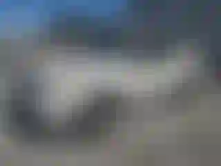 Vehicle Image- 2008 Ford Explorer