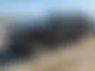 Vehicle Image- 2008 Ford Explorer