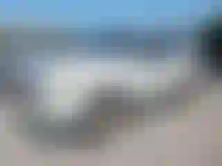Vehicle Image- 2009 Ford Explorer