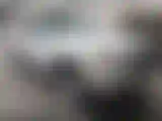 Vehicle Image- 2006 Ford Explorer