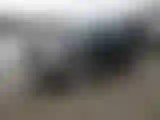 Vehicle Image- 2007 Ford Explorer