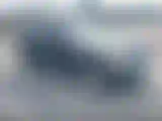 Vehicle Image- 2010 Ford Explorer