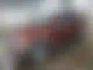 Vehicle Image- 2010 Ford Explorer