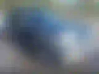 Vehicle Image- 2010 Ford Explorer