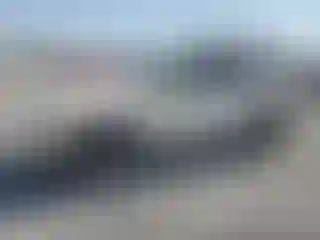 Vehicle Image- 2010 Ford Explorer