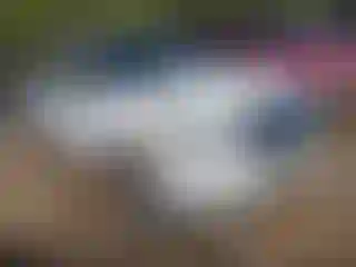 Vehicle Image- 2010 Ford Explorer