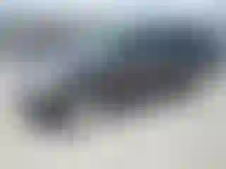 Vehicle Image- 2007 Ford Explorer