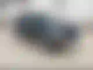 Vehicle Image- 2008 Ford Explorer