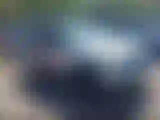 Vehicle Image- 2006 Ford Explorer