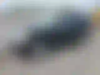 Vehicle Image- 2007 Ford Explorer