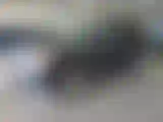 Vehicle Image- 2007 Ford Explorer