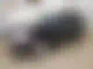 Vehicle Image- 2008 Ford Explorer