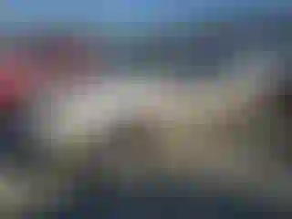 Vehicle Image- 2007 Ford Explorer