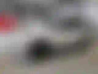 Vehicle Image- 2008 Ford Explorer