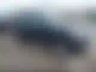Vehicle Image- 2007 Ford Explorer