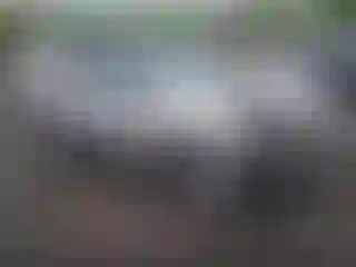 Vehicle Image- 2007 Ford Explorer